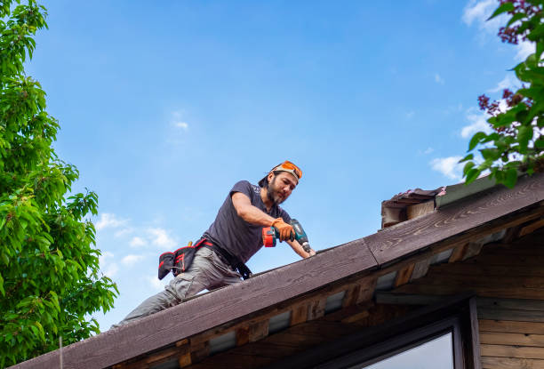 Best Skylight Installation and Repair  in Latta, OK